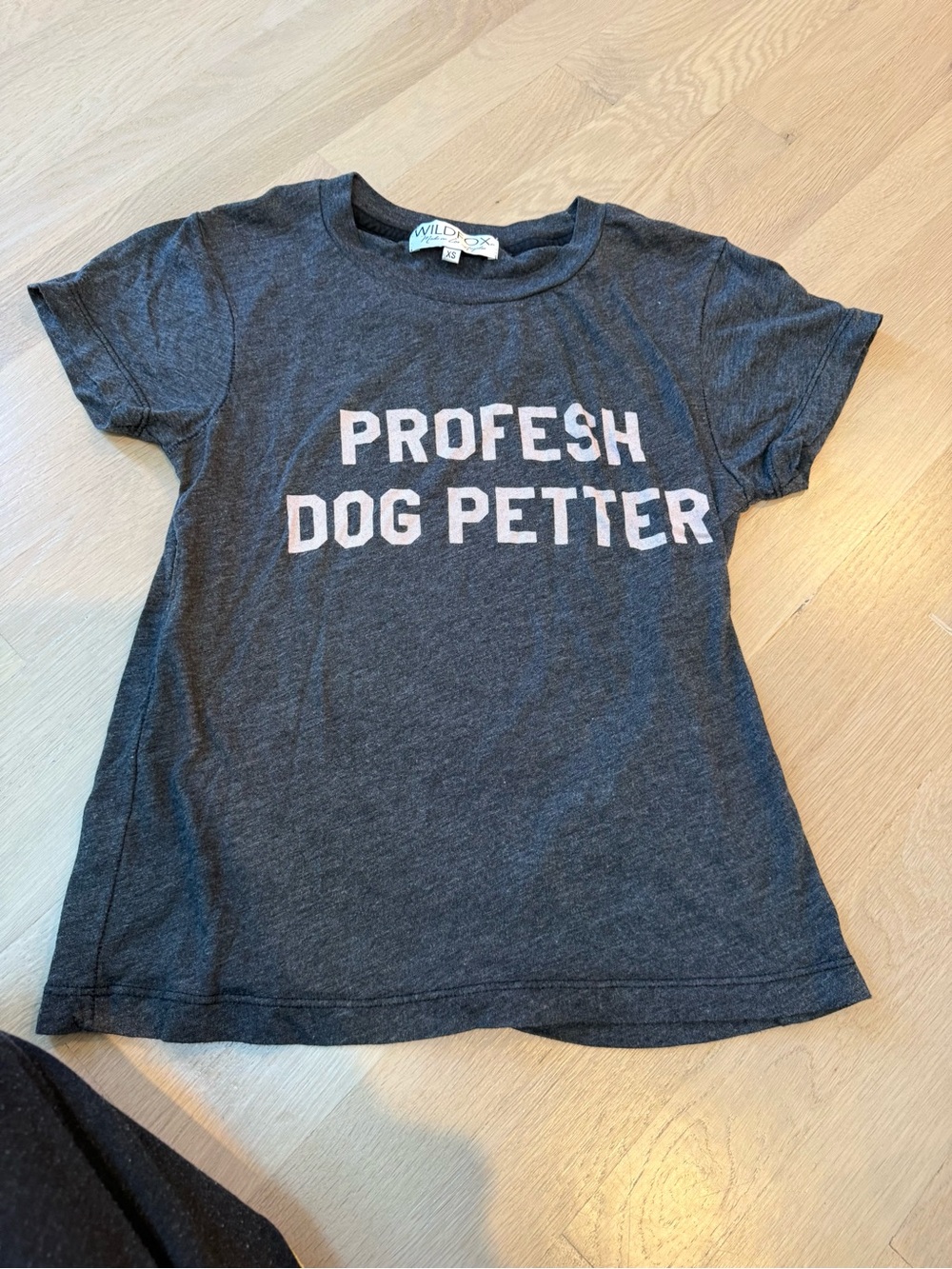 Wildfox Gray Tee with Light Pink 'Profesh Dog Petter' Text